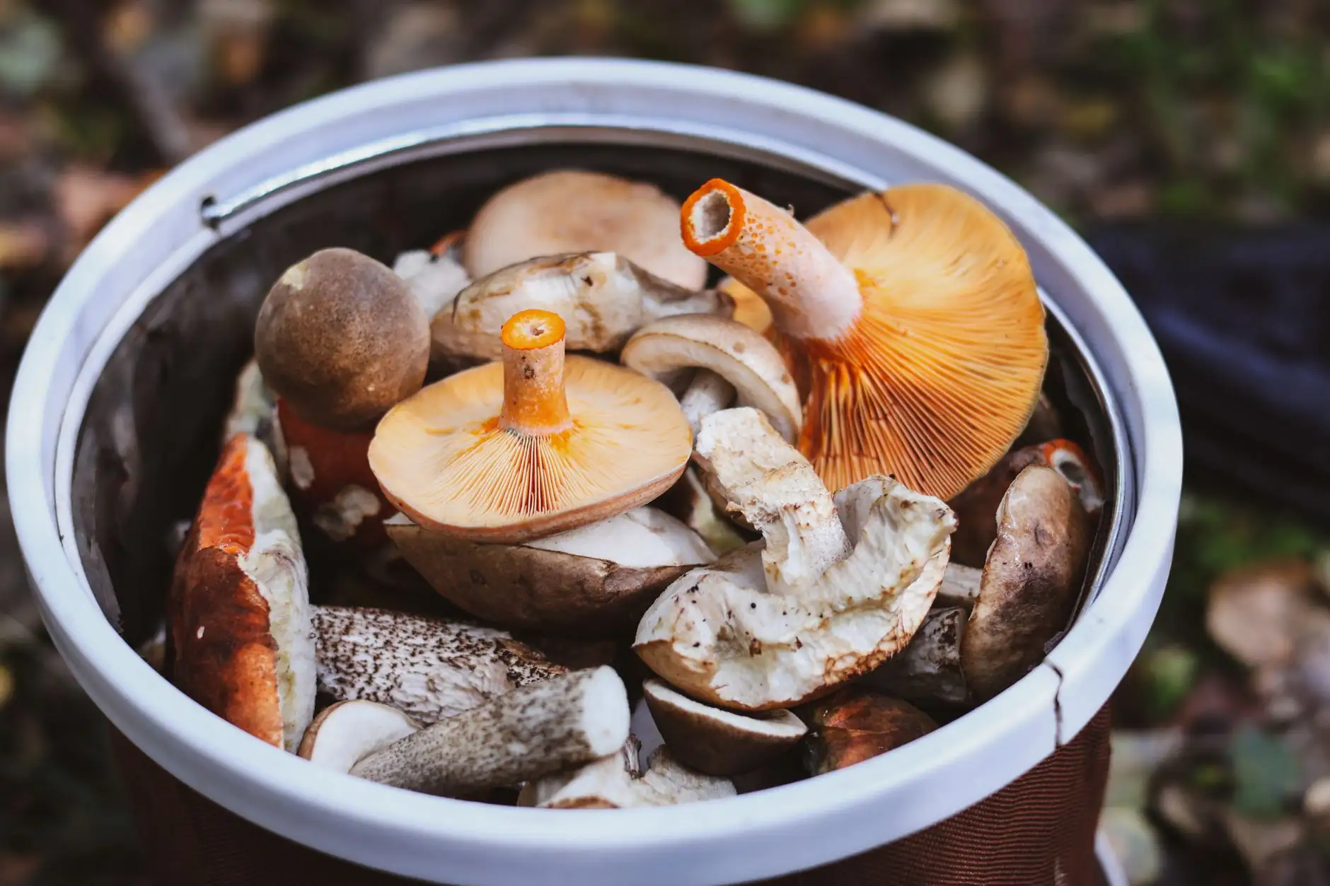重庆夏季居家服面料选择指南：纯棉与莫代尔性能对比分析