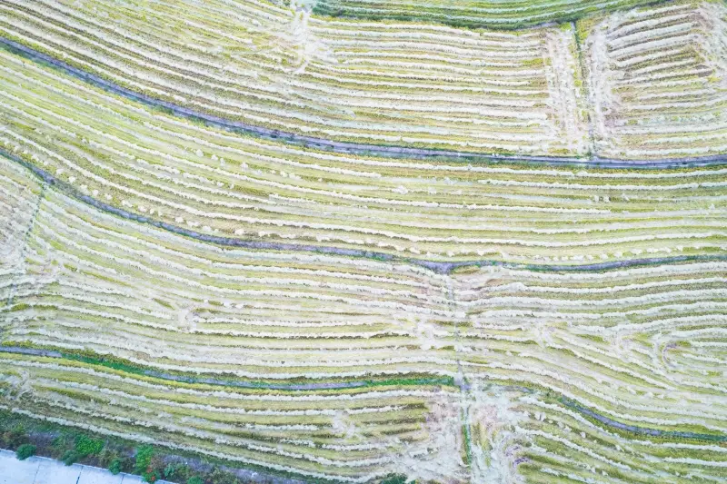 重庆家居服选购指南：纯棉与莫代尔面料的舒适度对比分析