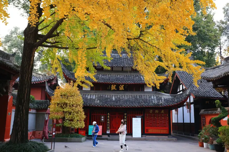 纯棉与莫代尔家居服面料性能对比分析及选购指南