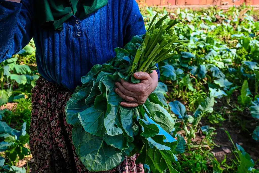 家居服面料选购指南：纯棉与莫代尔在舒适居家场景中的性能对比