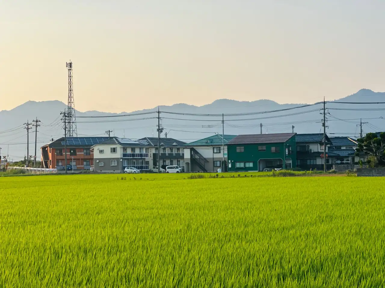 纯棉与莫代尔面料在家居服中的应用性能对比分析