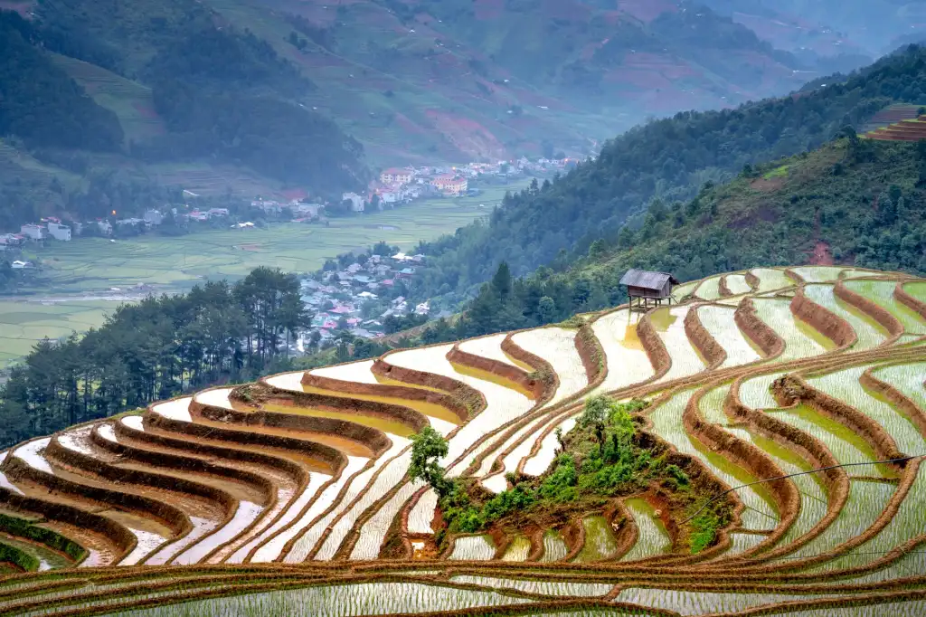 重庆地区家居服选购指南：纯棉与莫代尔面料的舒适度对比